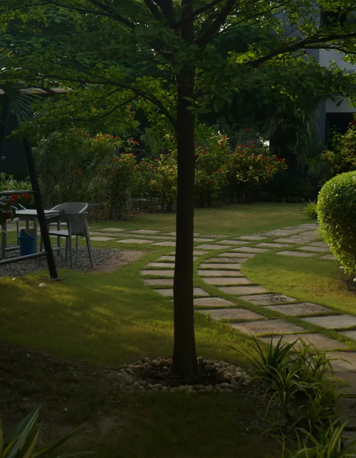 Chemin en pierre dans un jardin ombragé